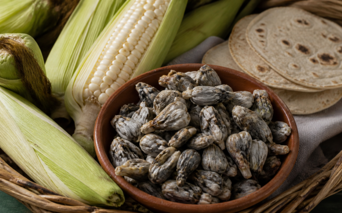 Mazorca de maíz con huitlacoche fresco junto a una canasta de mercado y tortillas.